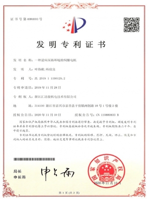 HZL016 A Servo Motor Adapted to Die Casting Environment (Invention)